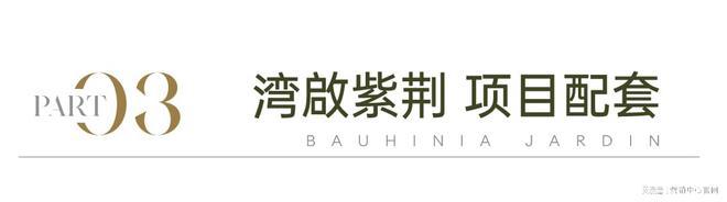 府』网站售楼中心电话湾启紫荆府欢迎您凯发K8登录入口2024『湾啟紫荆(图6)