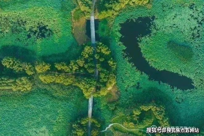 5楼盘评测-鹿溪雅园售楼中心详情户型 小区配套k8凯发一触即发鹿溪雅园售楼处欢迎您 202(图5)